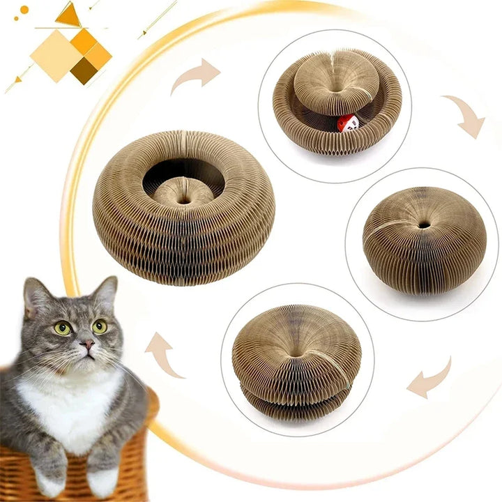 Organ cat scratching board