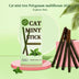 6pcs Natural Matatabi Cat Stick Mint