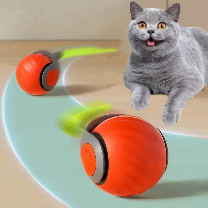 Cat Interactive Ball  Automatic