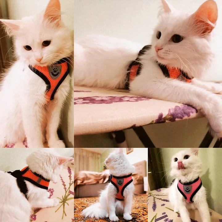 pet Harness Vest