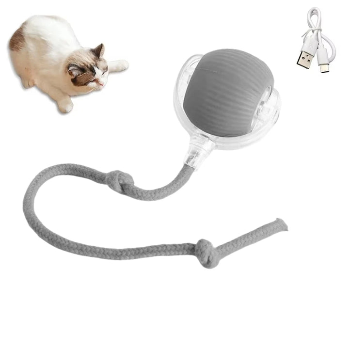 Cat Interactive Ball  Automatic