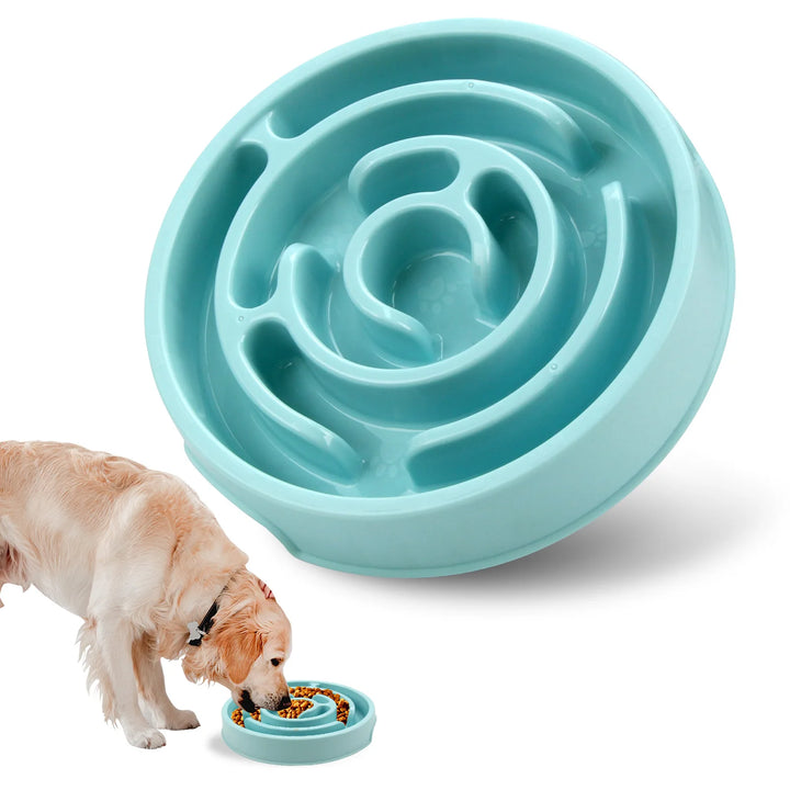 Pet Slow Food Bowl