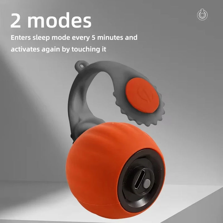 Cat Interactive Ball  Automatic
