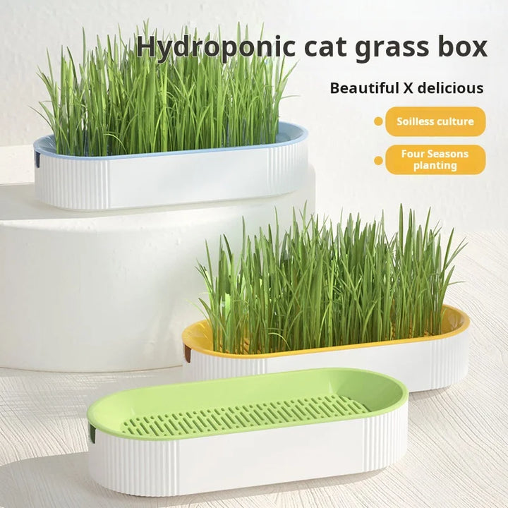 Hydroponic Cat Grass Box Cat