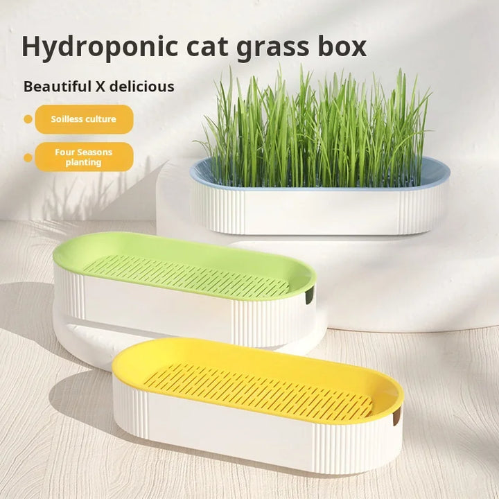 Hydroponic Cat Grass Box Cat