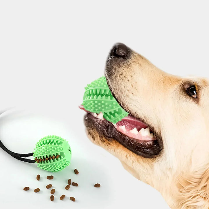 Interactive Dog Suction Cup Toy with