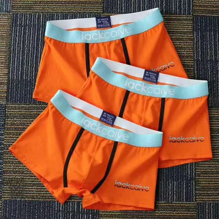3Pcs Male Panties
