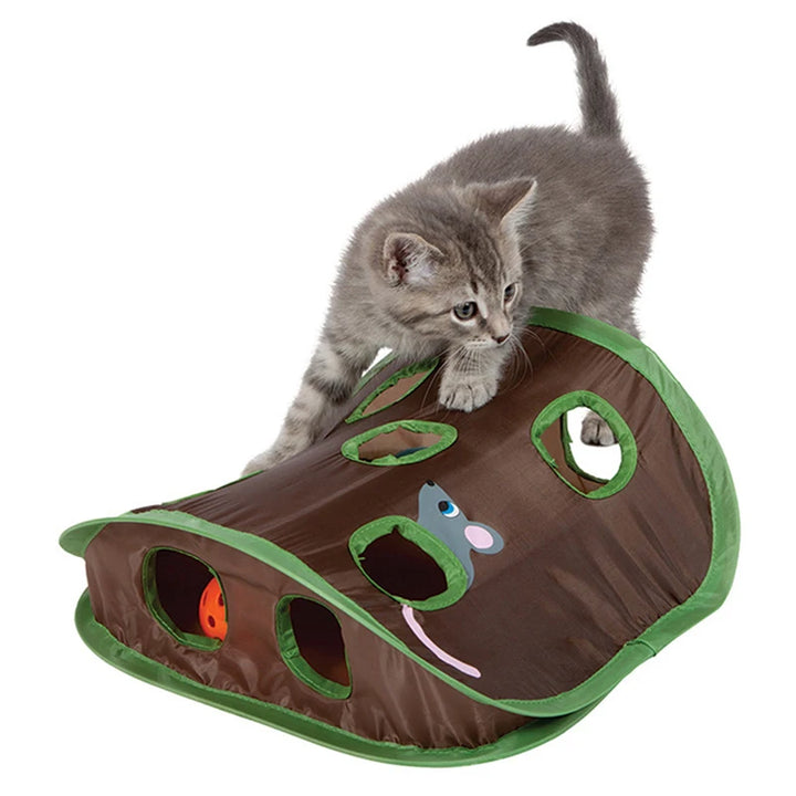 Cat Mice Game Intelligence