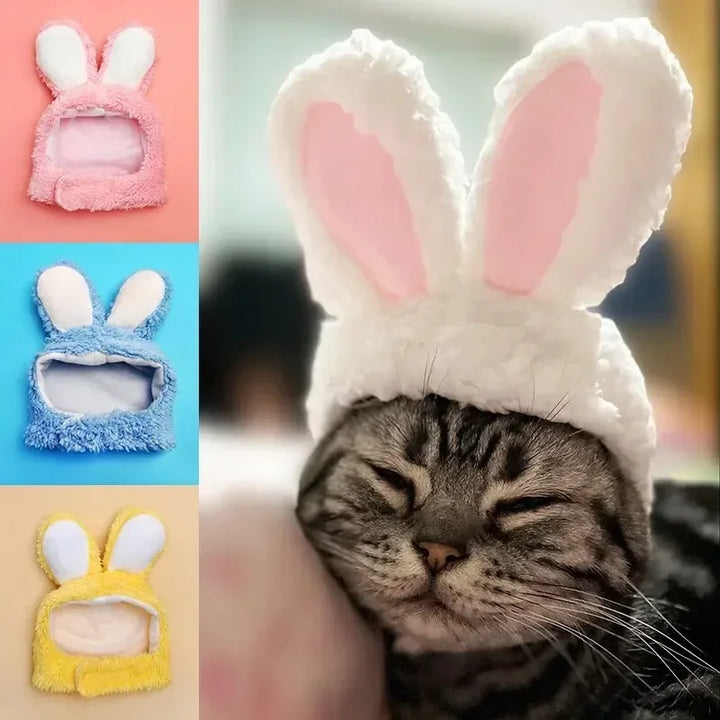 Cat and Rabbit Headgear