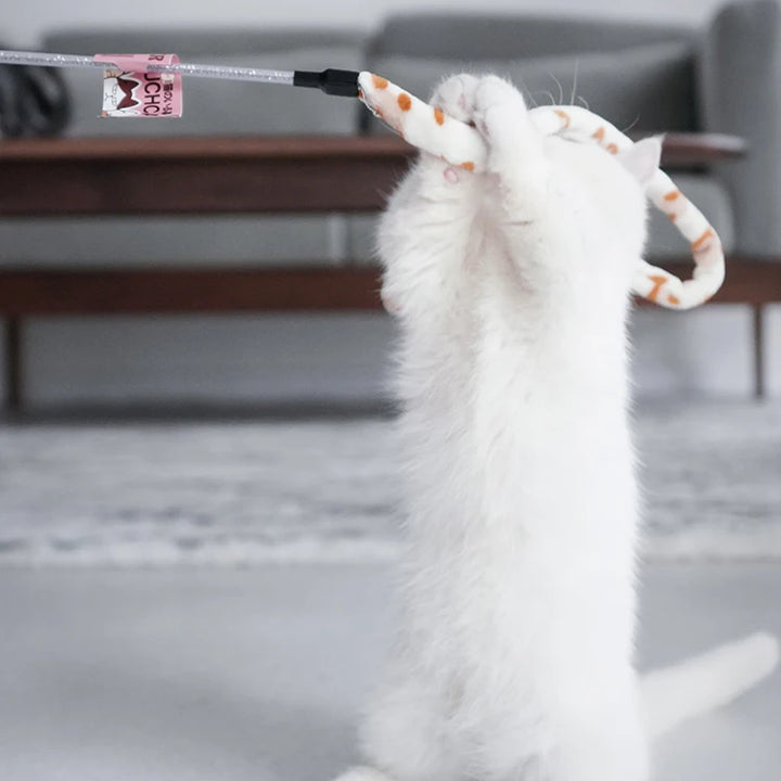 Cat Toy Feather