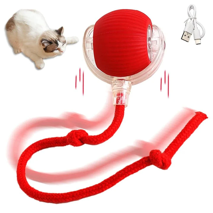 Cat Interactive Ball  Automatic