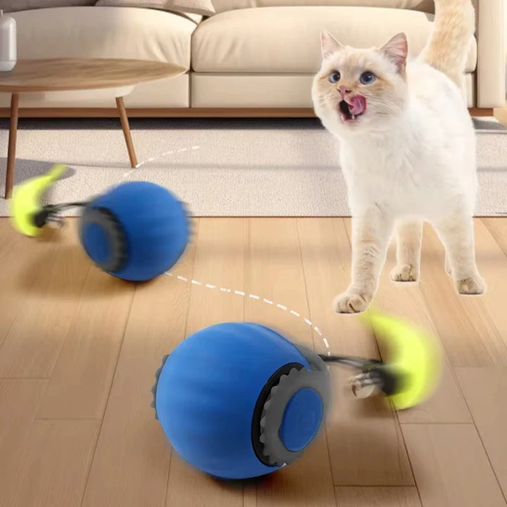 Cat Interactive Ball  Automatic