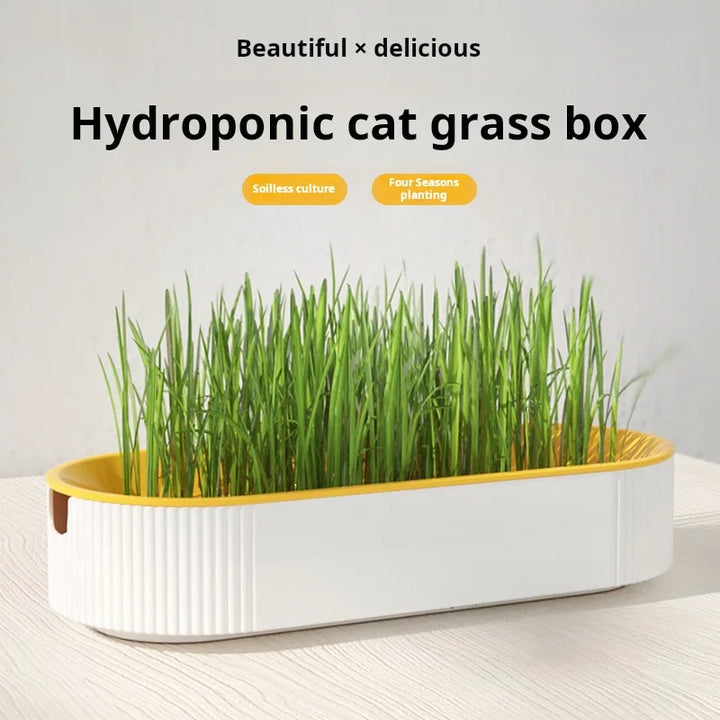 Hydroponic Cat Grass Box Cat