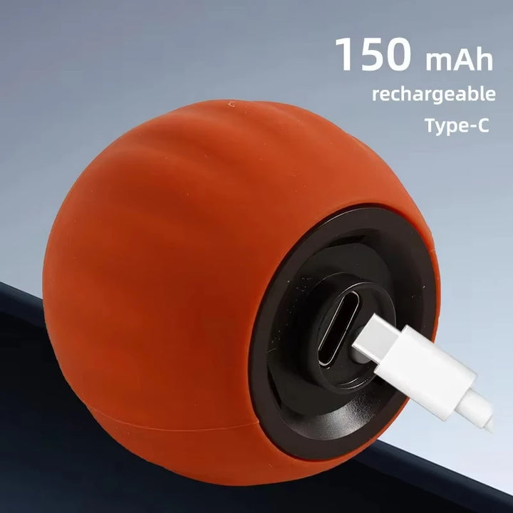 Cat Interactive Ball  Automatic