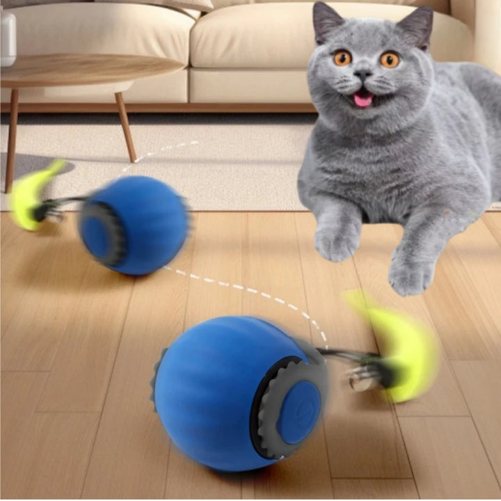 Cat Interactive Ball  Automatic
