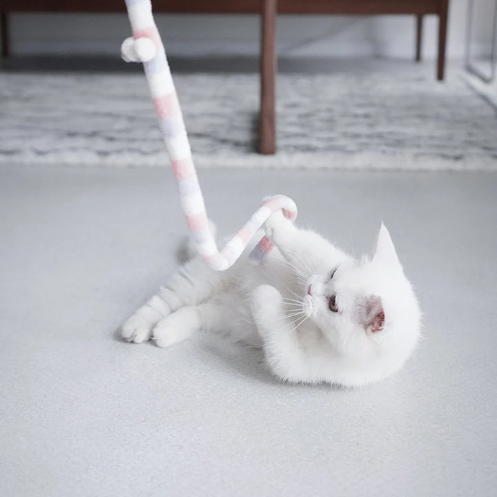 Cat Toy Feather