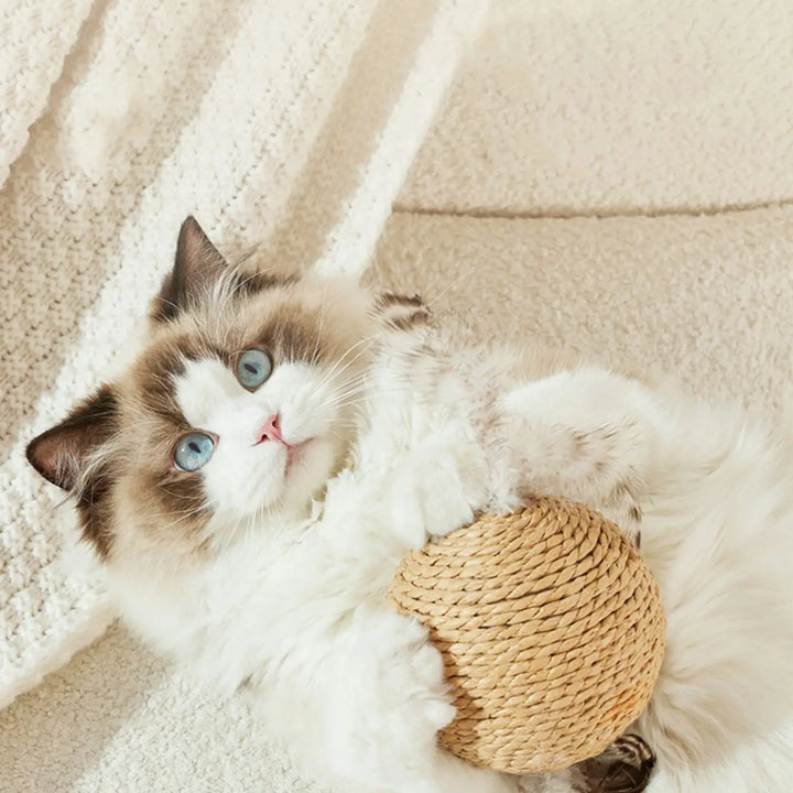 Cat Scratching Ball