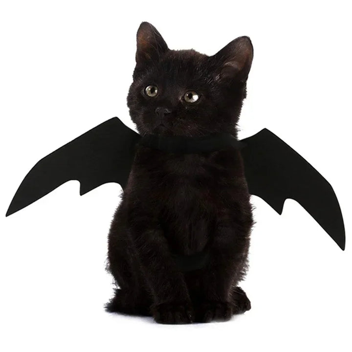 1PcsHalloween Cute Pet