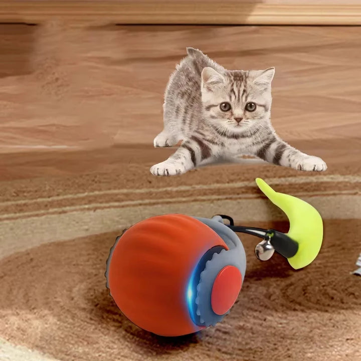 Cat Interactive Ball  Automatic