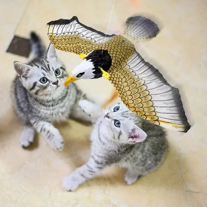 Simulation Bird Interactive Cat