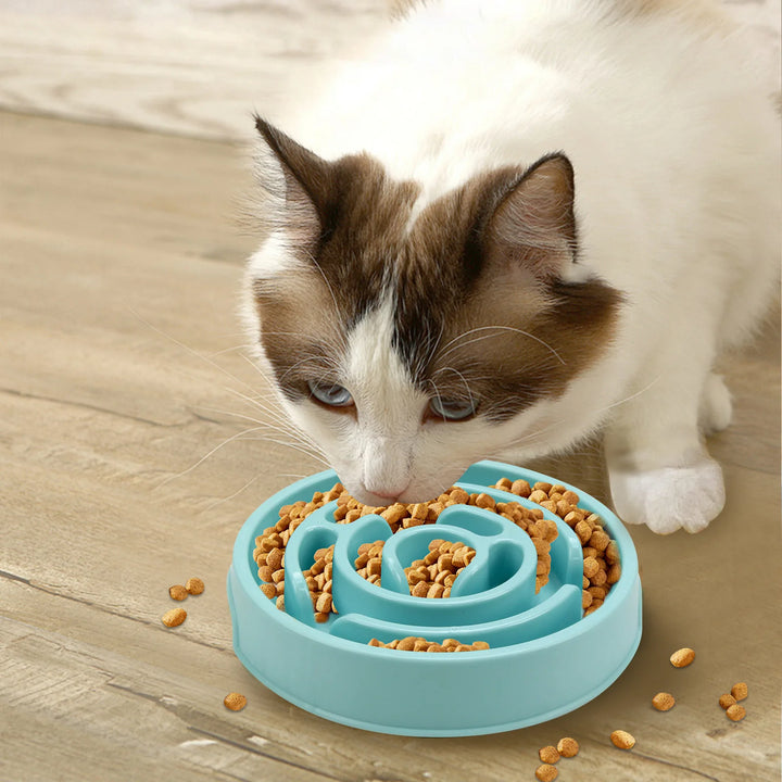 Pet Slow Food Bowl