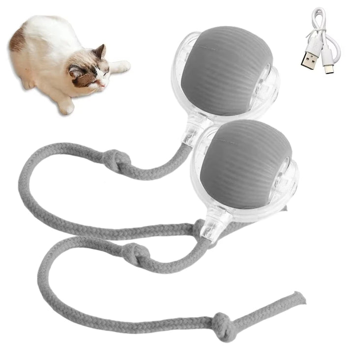 Cat Interactive Ball  Automatic