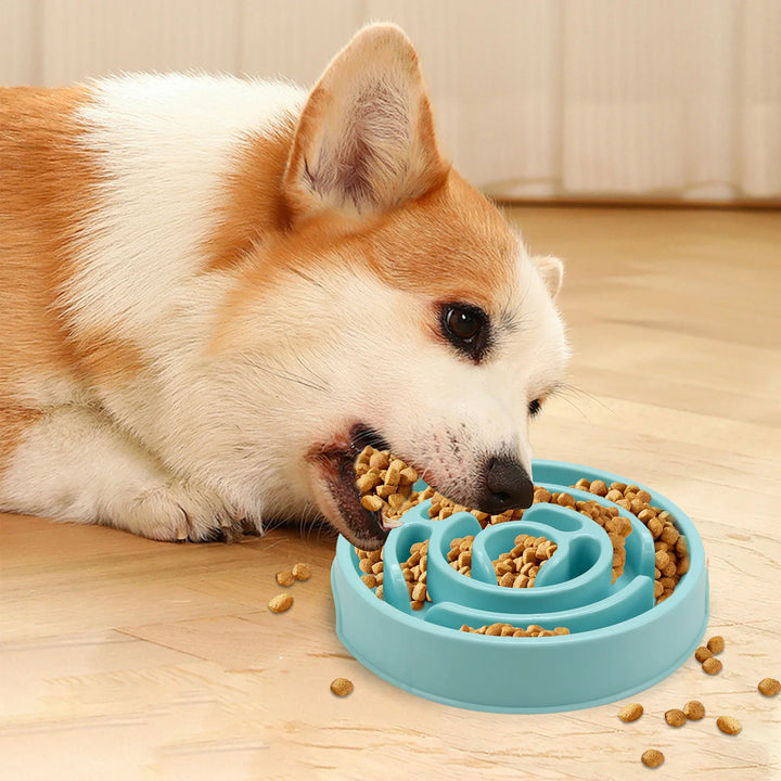 Pet Slow Food Bowl