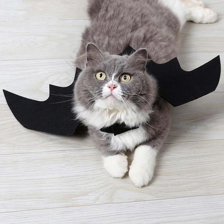 1PcsHalloween Cute Pet