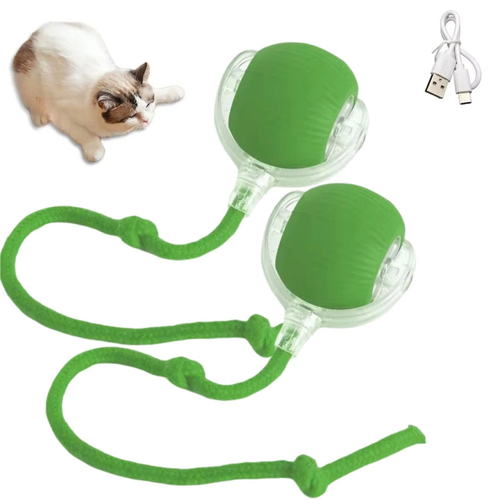 Cat Interactive Ball  Automatic