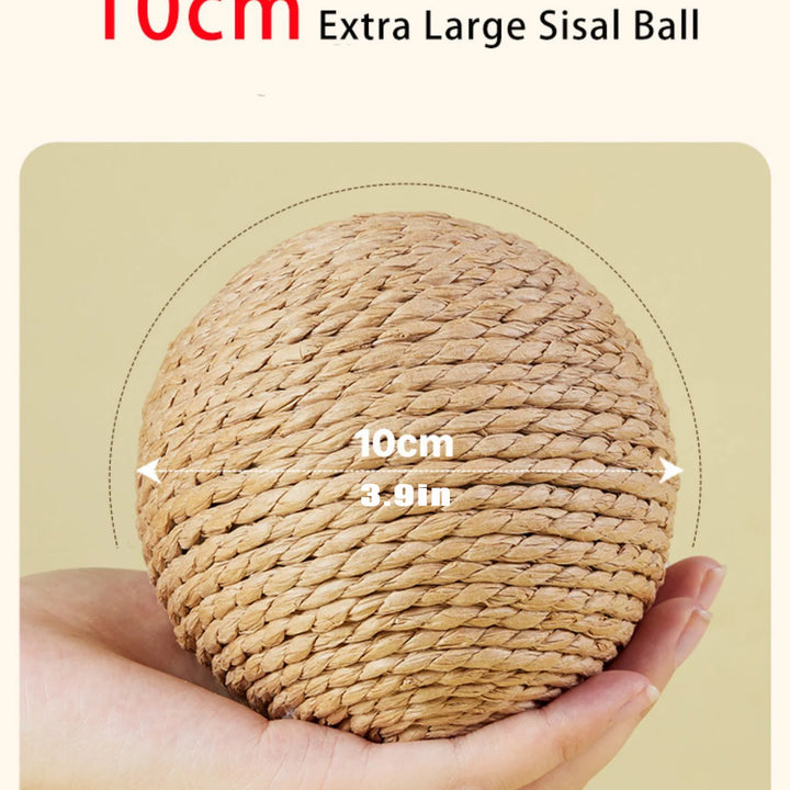 Cat Scratching Ball