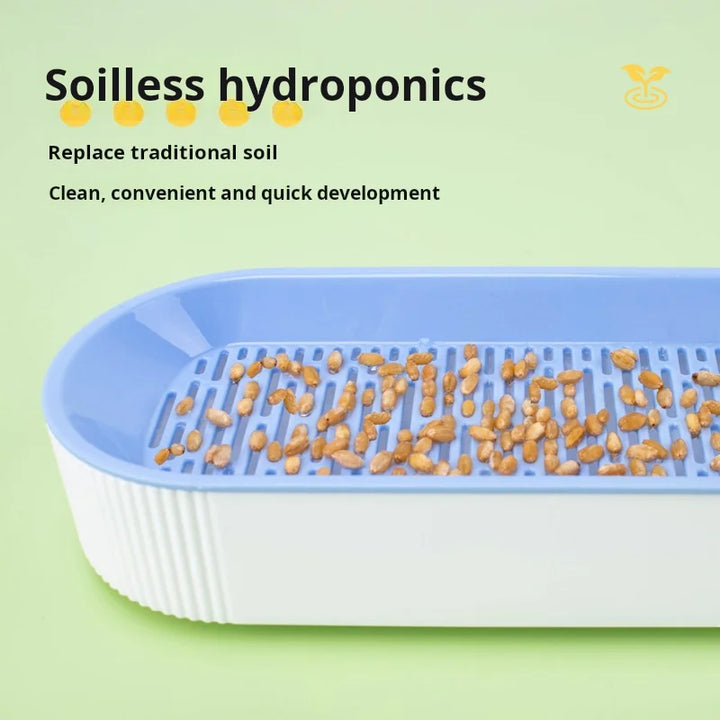 Hydroponic Cat Grass Box Cat