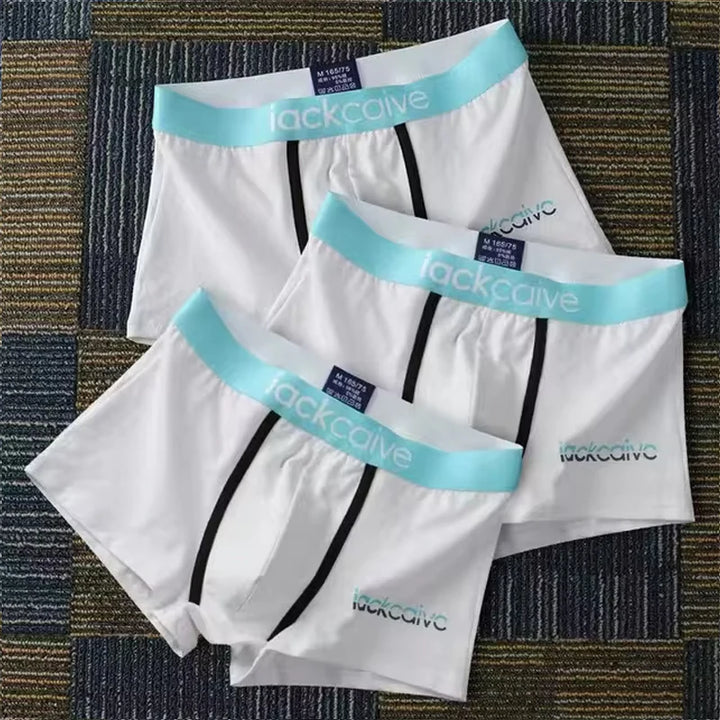 3Pcs Male Panties
