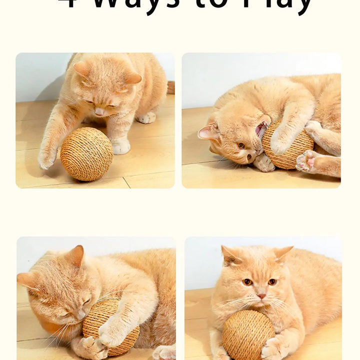 Cat Scratching Ball