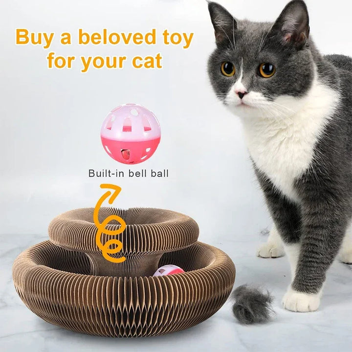 Organ cat scratching board