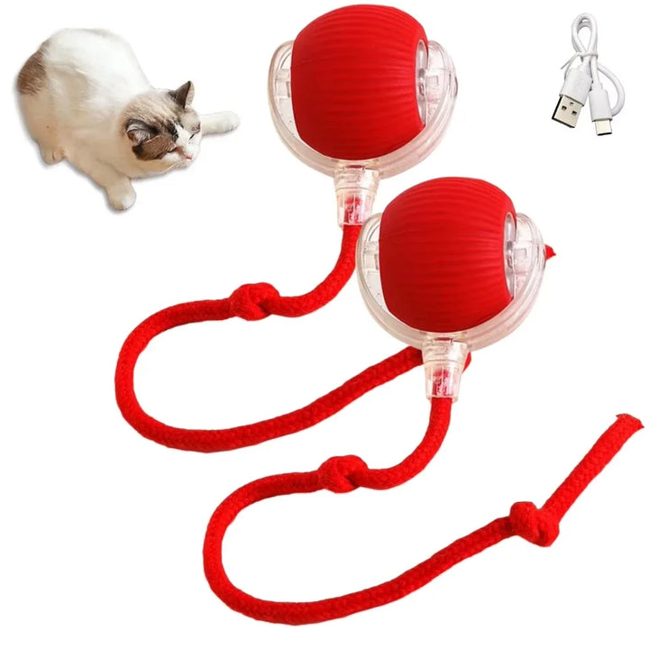 Cat Interactive Ball  Automatic