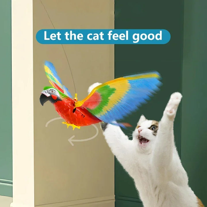 Simulation Bird Interactive Cat