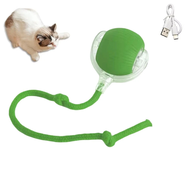 Cat Interactive Ball  Automatic