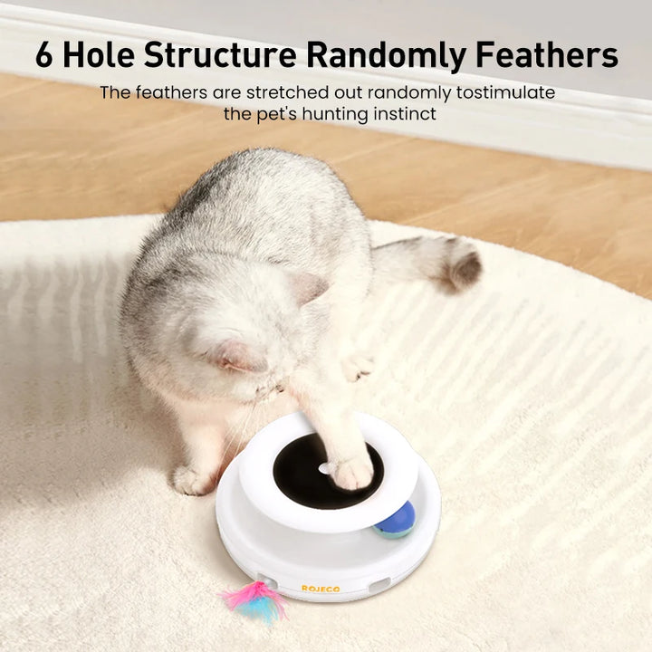 Feather Fun Ball